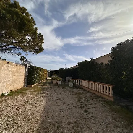 Rosi Gallipoli